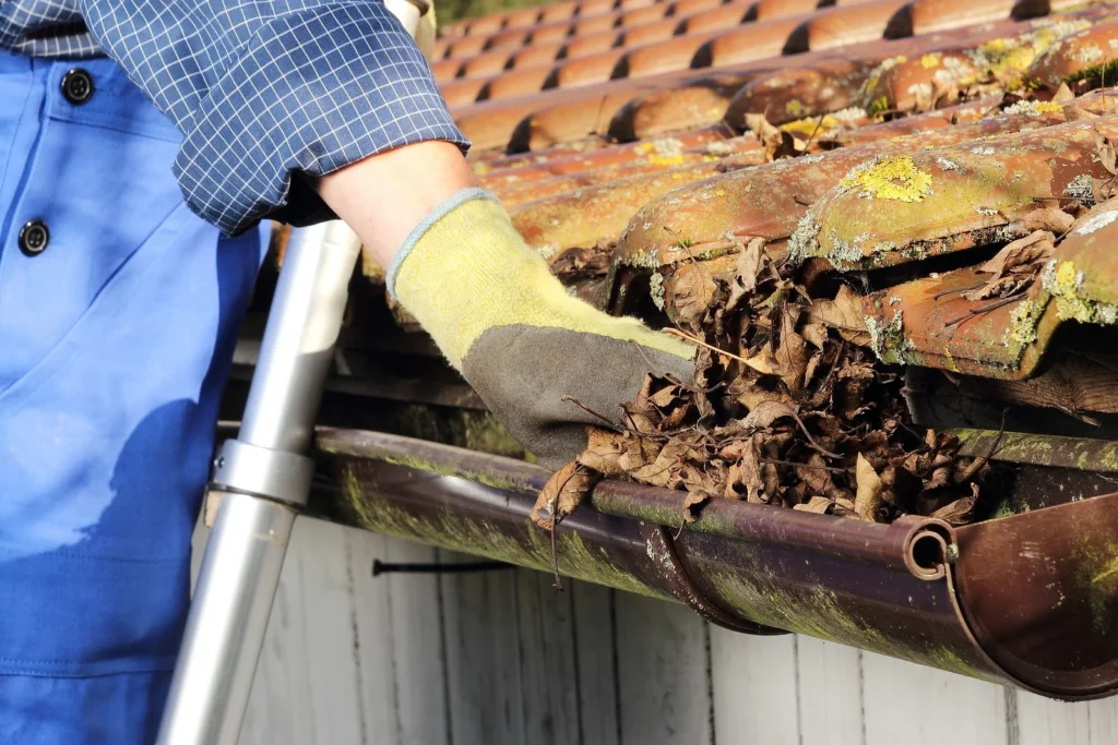 gutter cleaning